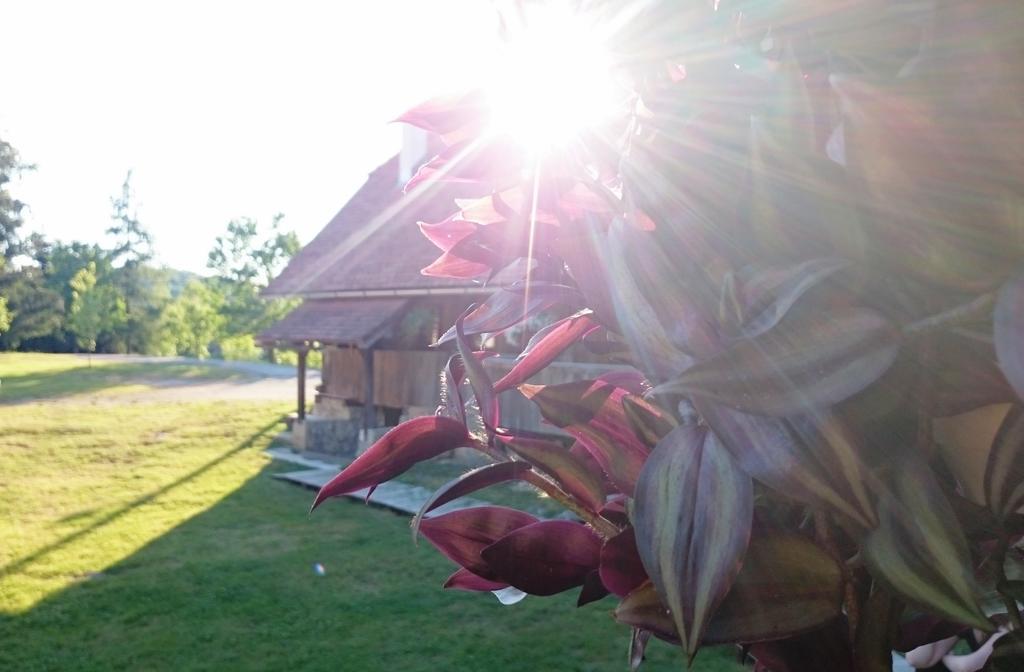 Rustic Home Mia Дуга Реса Номер фото