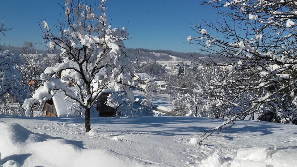 Rustic Home Mia Дуга Реса Екстер'єр фото